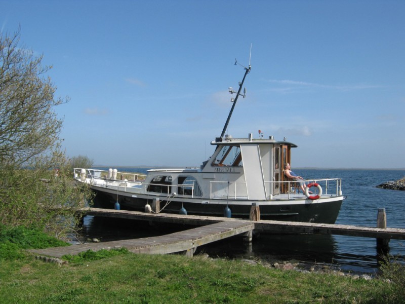 Brendean3