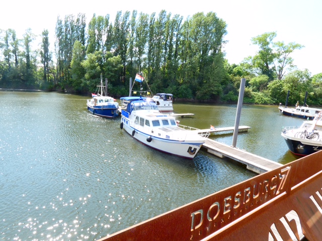 rouget2
